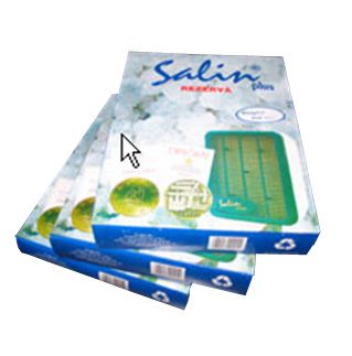 salin_betet.jpg